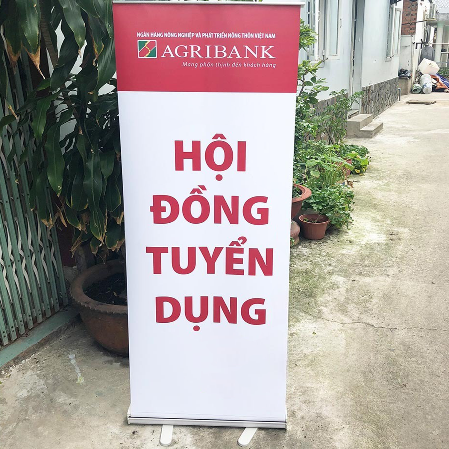 Stendee (Chân X - Chân Cuộn) - Ảnh 4