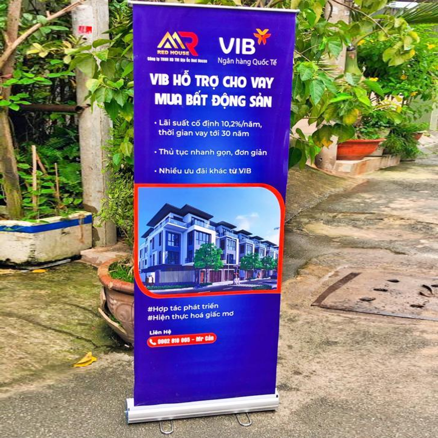 Stendee (Chân X - Chân Cuộn) - Ảnh 5