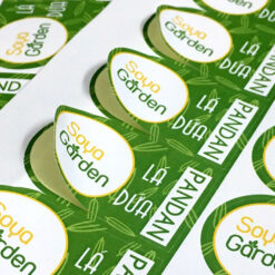 Decal Giấy - Decal Nhựa - (Tem Nhãn) Bế Demi