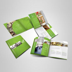 Catalog (Sổ Doanh Nghiệp)